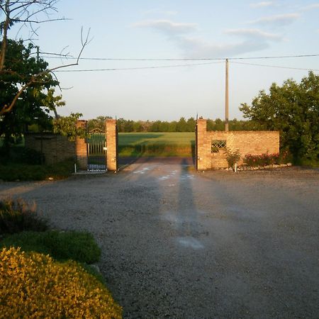 Agriturismo La Cascinetta Pieve di Cento Extérieur photo